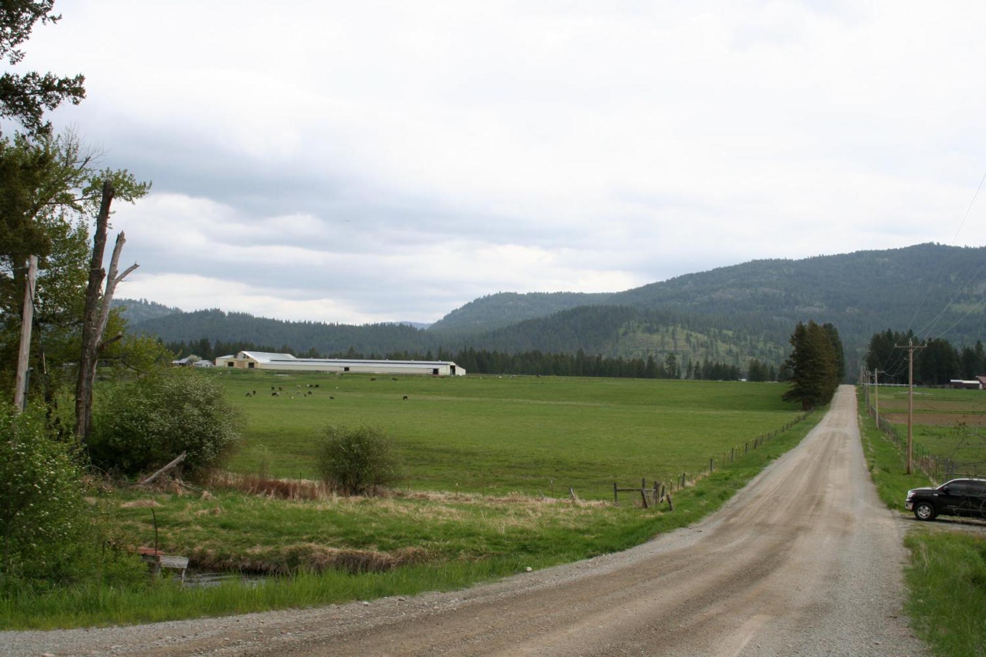 Villa The Bunkhouse Priest River Esterno foto
